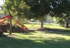 Fern Treelandscape-demolition-and-removal-1.jpg; ?>