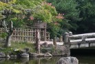 Fern Treeoriental-japanese-and-zen-gardens-7.jpg; ?>