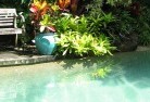 Fern Treeswimming-pool-landscaping-3.jpg; ?>